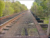 Cedar Bayou tressel Photo Baytown Bert