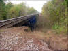 Cedar Bayou tressel Photo Baytown Bert