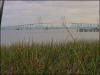 Evergreen Road Photo Baytown Bert
