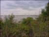 Evergreen Road Photo Baytown Bert