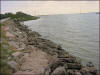 Evergreen Road Photo Baytown Bert