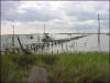 Evergreen Road Photo Baytown Bert