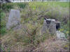 Evergreen Road Photo Baytown Bert