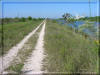 Photo Baytown Bert
