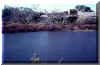 Brownwood  11-84  pic Baytown Bert