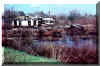 Brownwood  11-84  pic Baytown Bert