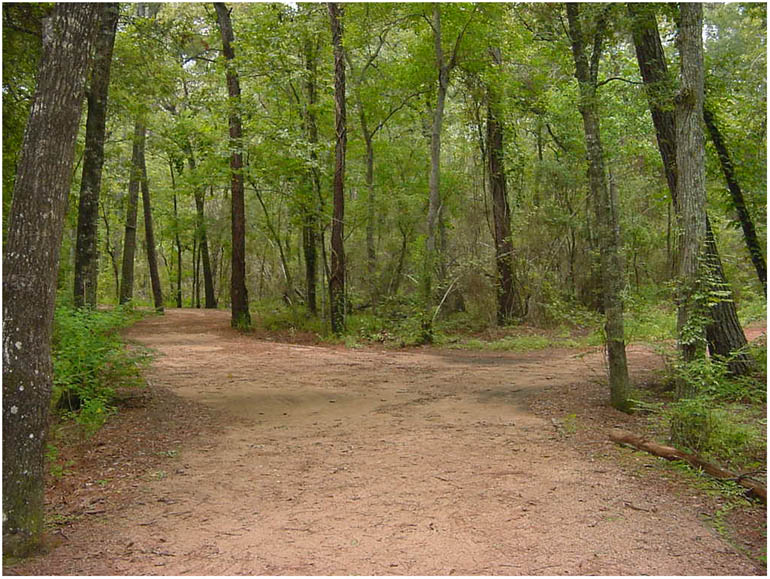 Jenkins Park - Baytown Texas 