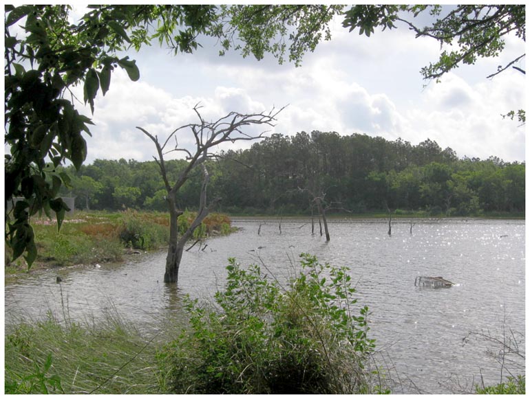 Goose Creek Trail - Baytown, Texas